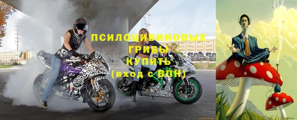 стафф Армянск